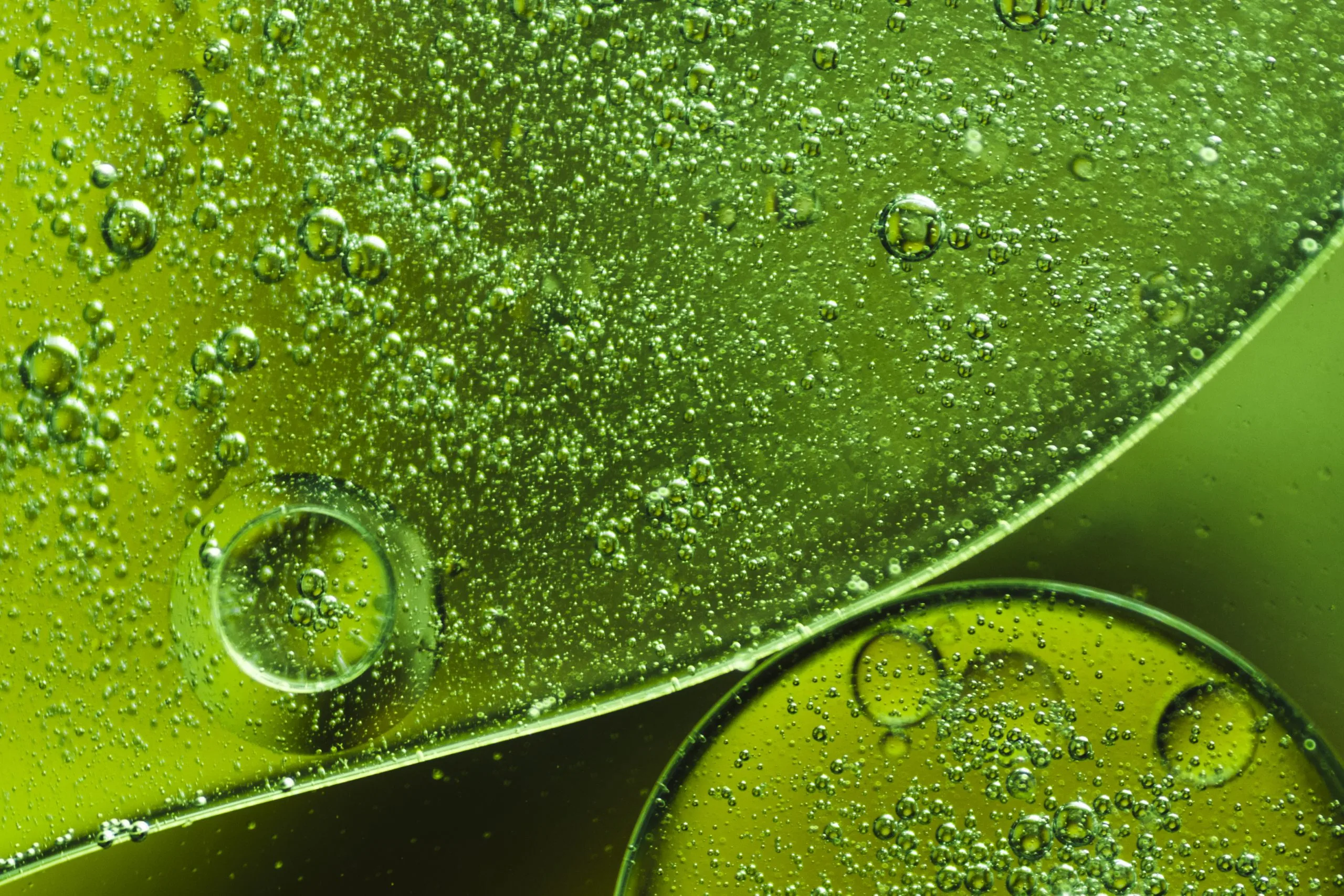 B2B nutraceutical, supplement, herbal wellness and cosmetic manufacturer and exporter in Ahmedabad, Gujarat, India.