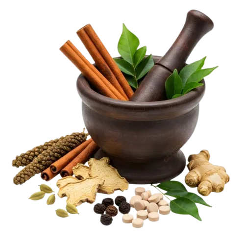 Herbal wellness product manufacturing for Ayurvedic and natural formulations.